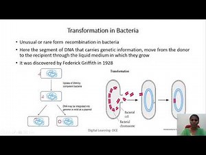 Genetic recombination in bacteria