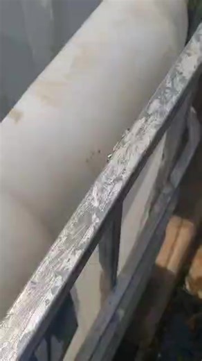 Oreochromis niloticus is the scientific name for the Nile Tilapia, one of the most common and important fish species in aquaculture. 🐟 Oreochromis niloticus (Nile Tilapia) 💚🐟 A fast-growing and adaptable fish loved by many farmers! ✅ Grows well in ponds, tanks, and cages ✅ Feeds on natural algae and simple feeds ✅ Provides healthy, protein-rich meat ✅ Perfect for small-scale and commercial farming 👩‍🌾 Tilapia farming = Smart farming! 💪 #AgriChanda #FishFarming #Aquaculture #Tilapia | AgriC