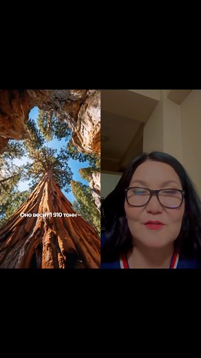 47K views · 1.3K reactions | Sequoia #park #General #Sherman #highest tree #green-planet #save the #planet #forest fire #ОЙН #ТҮЙМРЭЭР #ҮРЖИЛ НЬ #ЯВАГДДАГ МОДНУУД… Уранчимэг Урнаа Сосоржав | Uranchimeg Urnaa Sosorjav | Facebook