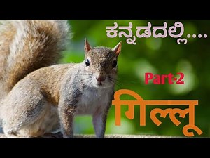 Gillu 10th Hindi Lesson | Tenth Standard 3rd Lesson Explained | Gillu Part-2 | ಗಿಲ್ಲೂ ಭಾಗ-2 | गिल्लू