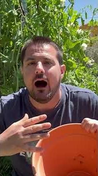 What are oyas? A way to water your vegetable garden! #gardening #permaculture