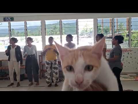 Musika dansa Helo :) - Manorin Atauro