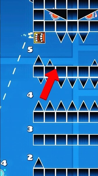 Which Path Is Correct? 😯