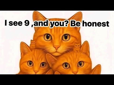 IQ Test - Can you solve this?