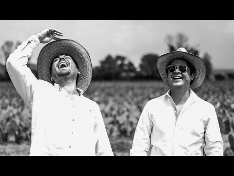 Adidas' Stan Smith Mylo are its first mushroom leather sneakers