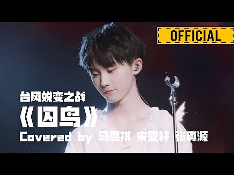 【马嘉祺 Jiaqi Ma】《囚鸟》 台风蜕变之战：台风少年终极成团夜 官方1080P高清【MaJiaQi】