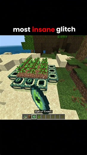 crazy glitch in Minecraft