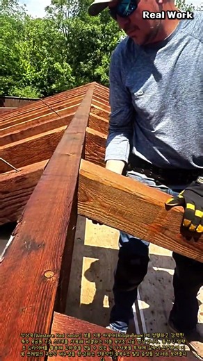 적삼목 보와 마루대 프레임 정렬 및 구조용 스크루 체결 작업 #worker #process #woodworking #roofing #cedar