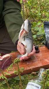 433K views · 2.7K reactions | This way my wood fish can't escape  #fish #seafood #cooking #firekitchen | Fire Kitchen | Facebook