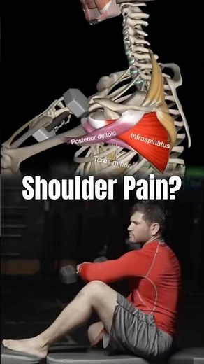 This Exercise Fixes Shoulder Pain FAST!🤯