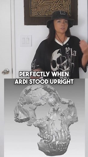 36K views · 1.3K reactions | ardi and her features #humanevolution #hominin #prehistoric #themoreyouknow | Lindsay Nikole | Facebook