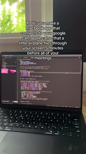 Small vibecoded project 🌸 #compsci #coding #softwareengineer #softwaredeveloper