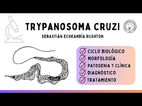 Trypanosoma cruzi: Life cycle, vector, clinical picture, diagnosis, and treatment | Parasitology