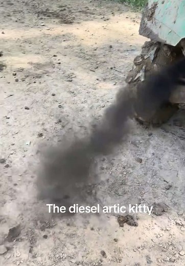 DangBoMudding on TikTok