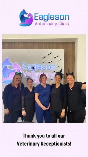 Happy Veterinary Reception Week! 💜🩵 This past week, we’re giving a huge shoutout to the incredible client care team who are the heartbeat of our clinic. From the first phone call to the warm goodbye at the front desk, they’re there with compassion, patience, and a smile. Thank you for all that you do—inside the clinic and beyond. We see you, we appreciate you, and we’re so grateful for the care you give to every client and every pet.🐾🤍 | Eagleson Veterinary Clinic Kanata