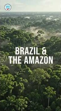 🇧🇷 BRAZIL AND THE AMAZON RAINFOREST