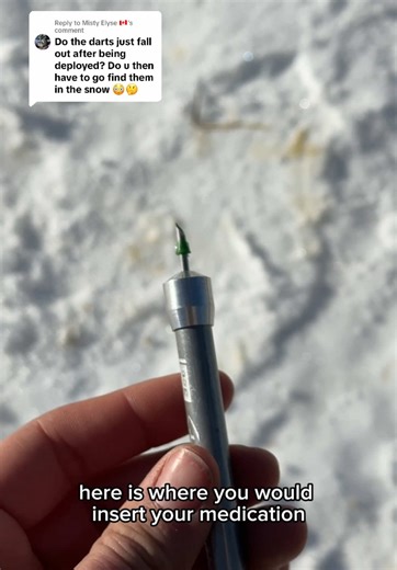 How to Use a Pneumatic Dart Gun for Vaccinating Animals