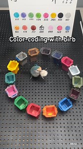 birds see many more colors than humans can | 9GAG Aww