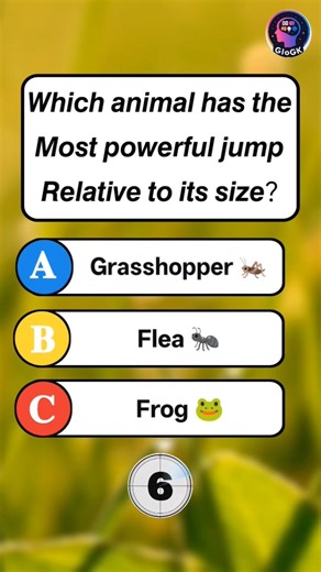 Which Animal Has the Strongest Jump for Its Size? 🦗🚀 | Animal GK Quiz #Shorts #Trivia