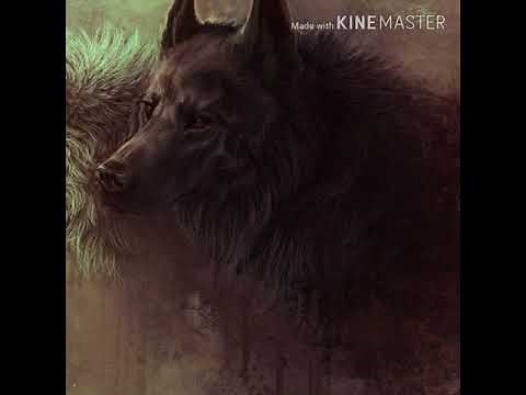 Desired Wolf Ears and Tail (+ more) ~Subliminal~