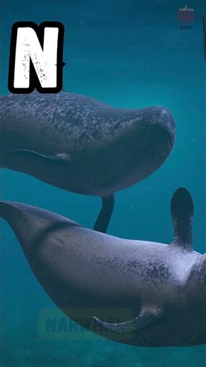 A to Z Ocean Animals 🌊 | Fun ABC Song for Kids! 🎶🐠 | #abcd #kids #shorts #viralvideo #learning