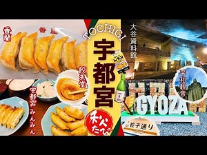 【栃木・宇都宮観光】食欲の秋に絶品餃子を食べ歩き！話題の観光スポットもめぐる日帰り旅 大谷資料館｜二荒山神社｜大谷寺 平和観音｜餃子通り｜来らっせ