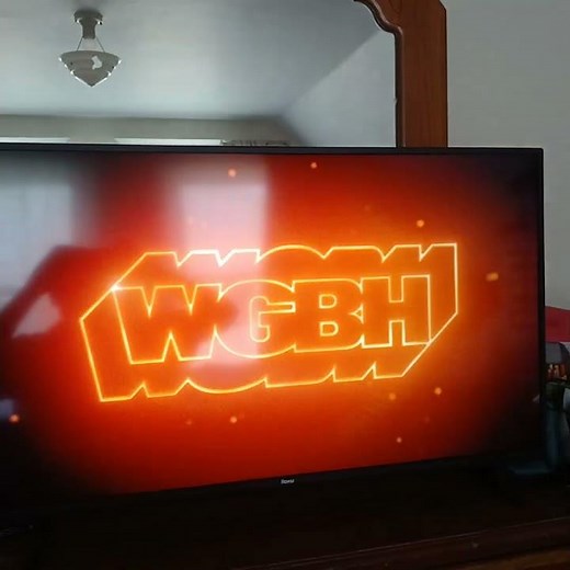 WGBH Boston/American Public Television #3