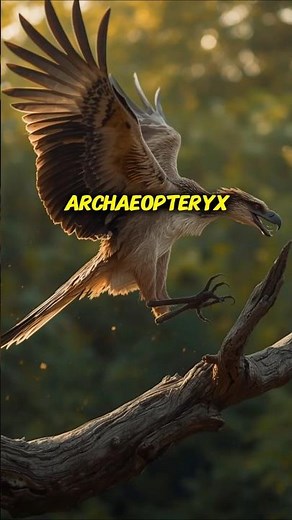 Archaeopteryx | The First Bird in History