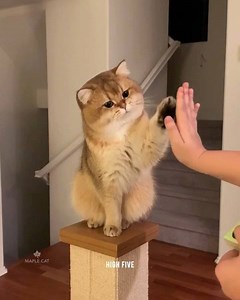 6.1K views · 431 reactions | My favorite exercise is snackercise. 襤❤️...