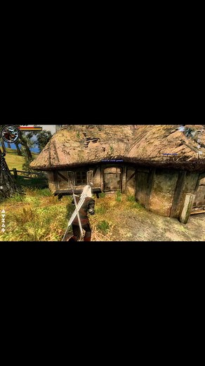 Ponowne spotkanie z Abigail! Wiedźmińskie Shorty Wiedźmin 1 – 2007 rok Mod Powrót Białego Wilka #wiedźmin #wiedźmin1 #geralt #cdp #cdproject #sapkowski #ciekawostka #pcgames #gryretro #staregry #witcher #thewitcher | Sowiks - Gracz z Piwnicy