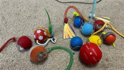 Watch Comparing and Ranking 9 Cat Ball Toys To Find the Best on Amazon Live