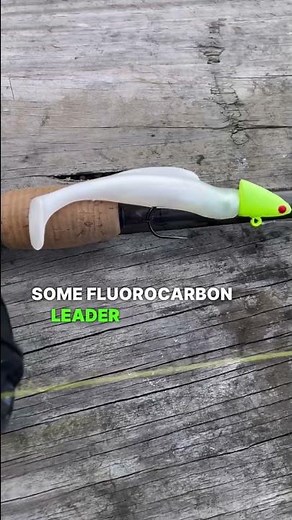 EASY Striped Bass Rig #chesapeakebay #fishingvideo #stripedbass #fishing