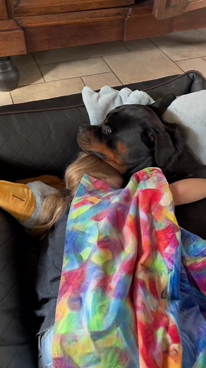 Rottweiler love ❤️ #rottweilers #dogs #fyp