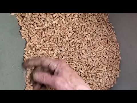 Breckwell BigE cleaning video