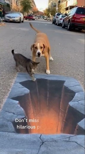 Dog Gets Scared by a Drawing of a Hole, Cat Pushes Him In! 😂 | Hilarious Animal Moment 🐶🐱