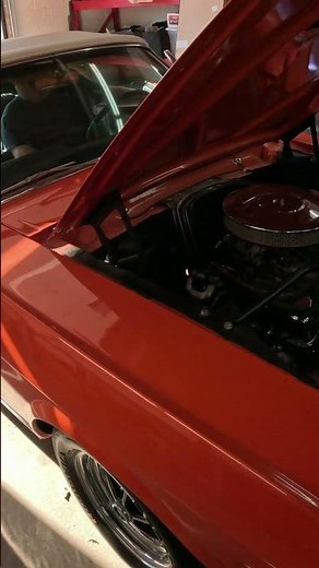 289 Engine Rebuild - One Year Later - 1966 Ford Mustang Convertible #ford #mustang #1966mustang