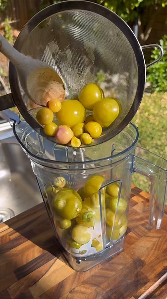 Delicious Chicken Tamales Recipe for the Holidays
