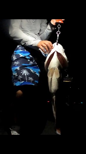 64K views · 242 reactions | I get asked all the time what a 10 lb...