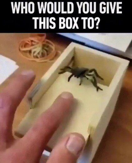 I bet you know someone who with 'love' this box 🤣 Find it here! ➡️ https://amzn.to/2raeaTj . We may earn a small commission from the above link at no cost to you | SHTF Dad
