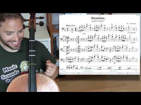 STANDCHEN Schubert Cello Lesson
