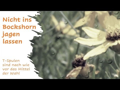 Lasst Euch nicht ins Bockshorn jagen