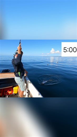 Miraculous Fish Catching Techniques Revealed