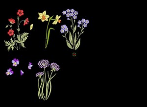 10 Flower Machine Embroidery Designs, Wildflower Pattern Instant Download Zip - 7 Sizes - Etsy