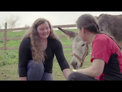 SBA Success Story: DocTerra Mobile Veterinary Services