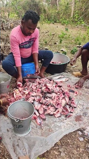 ruhi fish 110kg cating !! amazing cating tails