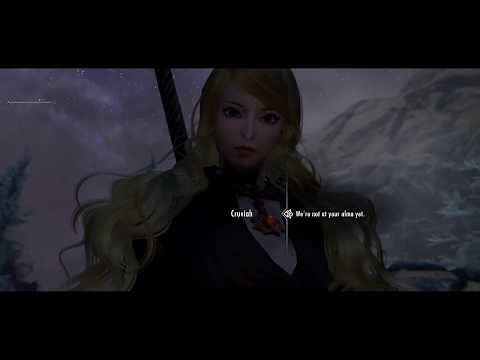 Skyrim SE : Alternate Conversation Camera is easily the best face to face conversation mod.