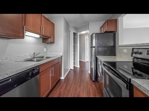 One-Bedroom Apartment in Streeterville, Chicago - Axis Apartments & Lofts