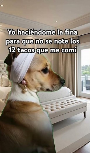 #remix #humor #comedian#risasvirales #motivacion #comedyshorts