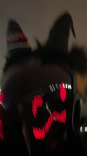 Exploring Furry and Protogen Culture