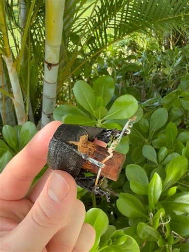 Hedonist Cellar || 🍷 Wine on Instagram: "1995 Dom Pérignon. 90’s Dom’s are my favourite vintages to drink right now. 1990 is my favourite vintage of that decade, but 1995 is a close second (1996 and 1998 strong contenders). Summer was exceptional (above seasonal average of the past 30 years), the perfect amount of rain, and a solid picking window starting mid September. 95 Dom is in its peak drinking window at the moment. Rich and creamy, tons of acidity, perfect bubbles, lots of lemon, orange 